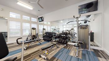 Cardio zone & training stations with free weights
