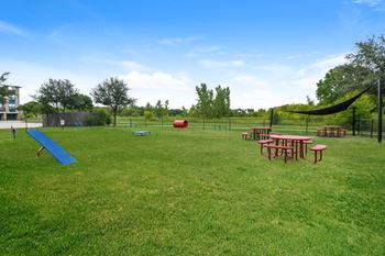 Dog park