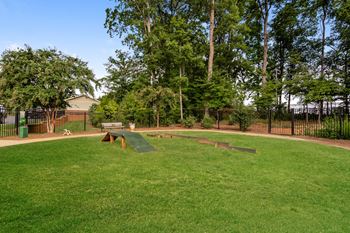 Dog park
