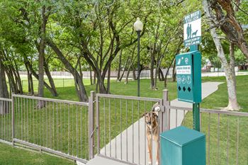 Dog park