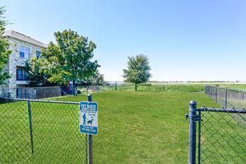 Dog park