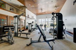 Raleigh apartment for rent - A gym with a variety of equipment including treadmills, weights, and benches.