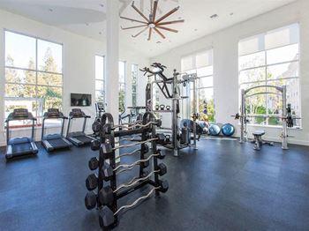 Free weights