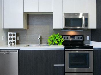 High gloss euro-style cabinetry