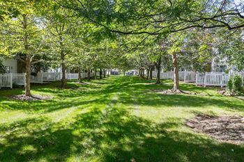 Greenspace