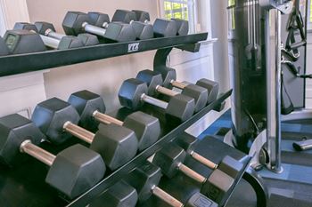 Fitness center with free weights