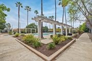 San Jose apartment for rent - A pool area with a palm tree and a sun shade.