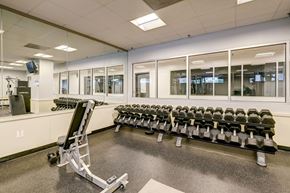 Falls Church apartment for rent - A gym with a row of dumbbells and a bench press in the foreground.