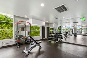 Walnut Creek apartment for rent - A gym with a variety of equipment including a leg press machine.