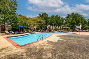 Franklin apartment for rent - A large swimming pool surrounded by trees and lounge chairs.