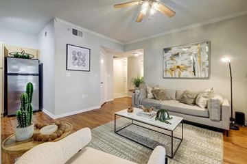 Austin apartment for rent - A living room with a couch, a table, a cactus, and a painting on the wall.