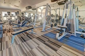 Lakeway apartment for rent - A gym with a variety of equipment including weights and a bench.