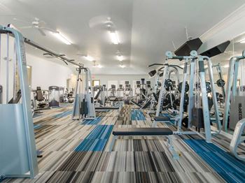 Fitness area