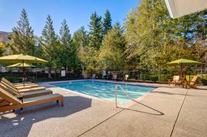 Snoqualmie apartment for rent - A pool surrounded by trees and lounge chairs.