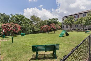 Dog park with agility equipment