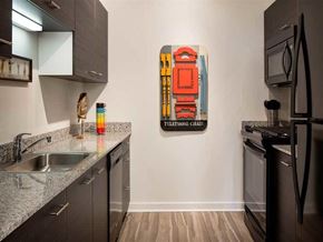 Chicago apartment for rent - Kitchen Applicances at Eight O Five Apartments Chicago Ebony Kitchen Cabinets Granite Counters Black Appliances