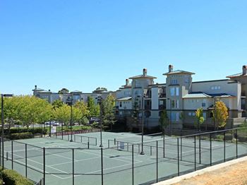 Tennis court