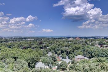 Skyviews