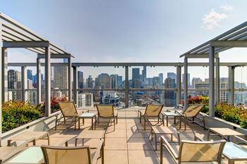 Garden trellis with city skyline