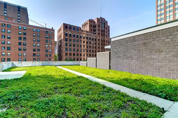 Eco-friendly green roof