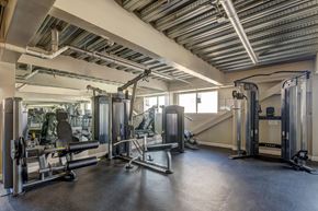Los Angeles apartment for rent - A gym with a variety of equipment including a squat rack, a bench press, and a leg press machine.