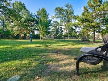 Park area