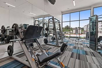 Gym area