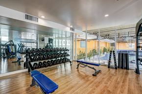 Los Angeles apartment for rent - A gym with a bench, weights, and exercise equipment.
