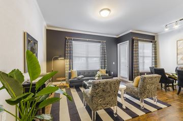 Aubrey apartment for rent - A living room with grey and black furniture and a large plant.