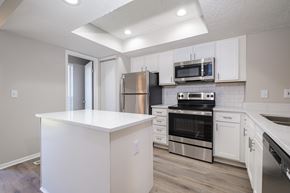 Dublin apartment for rent - A kitchen with white cabinets and stainless steel appliances.