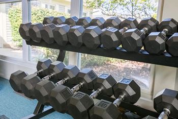 Fitness center free weights