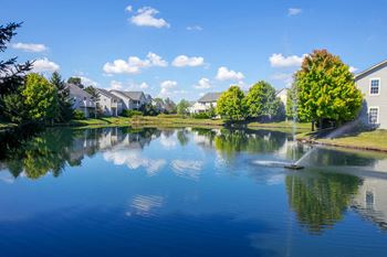 Lake view