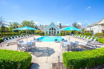 Poolside lounging and swimming pool