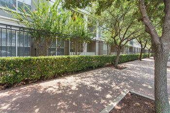 Courtyard garden space