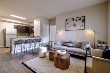 Las Vegas apartment for rent - A modern living room with a grey couch, a white rug, and a painting on the wall.