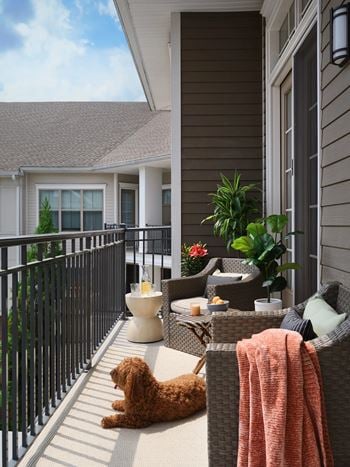 Private juliette or full-sized balconies*