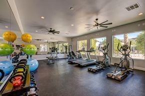 Las Vegas apartment for rent - A spacious gym with various exercise equipment and a row of exercise balls.