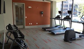 Cardio machines in gym