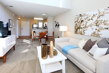 San Jose apartment for rent - A living room with a white couch and a coffee table.