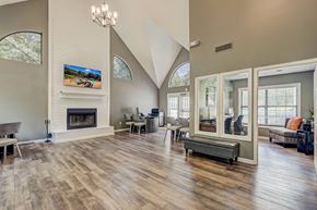 Smyrna apartment for rent - A modern living room with a fireplace and a TV on the wall.