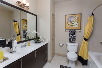 Luxurious bathrooms