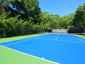 Tennis court