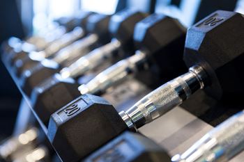 Free weights in gym