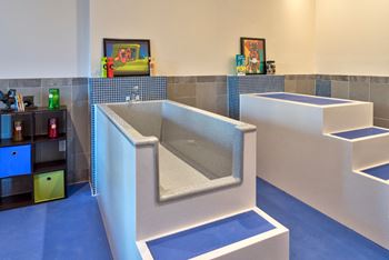 Pet friendly dog spa