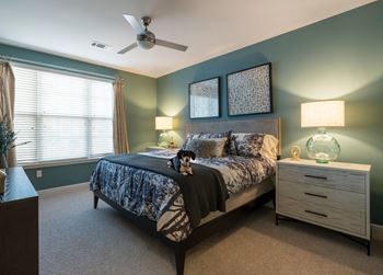 Bedroom with expansive windows