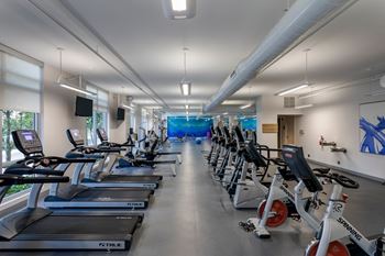 Cardio studio equipment