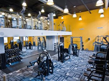 Membership-class two-story fitness center with free weights and strength & cardio equipment