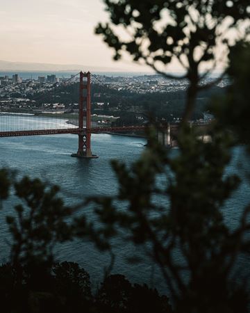 San Francisco apartment for rent - A view of the Golden Gate Bridge from a distance with trees in the foreground.