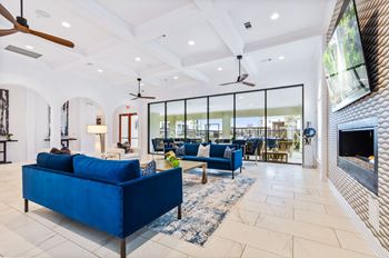 Living room with blue sofa