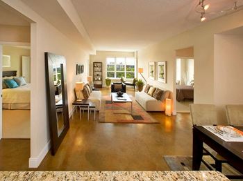Stained-concrete floors in living rooms